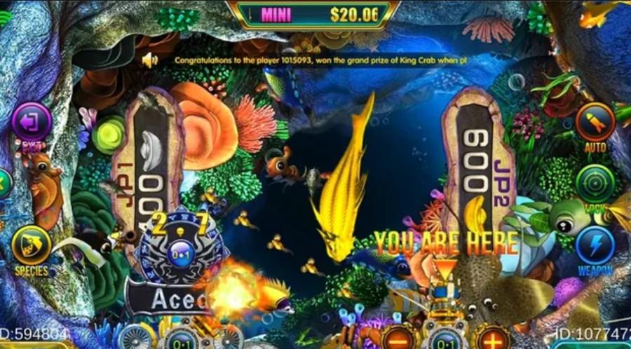 play fish tables online