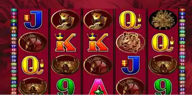 50dragongame